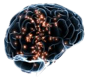 neuro medicine And Neuro surgery Specialist doctor Khulna